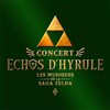 Echos d'Hyrule | Dole - La Commanderie