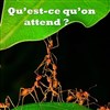 Qu'est-ce qu'on attend ? - Théâtre Athena