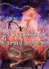 La sorcière du placard à balais - Le Rideau Rouge