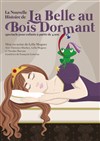 La Nouvelle Histoire de La Belle au Bois Dormant - La Manufacture des Abbesses