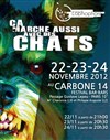 Ça marche aussi avec des chats... - Carbone14