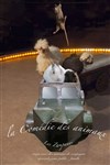 La comédie des animaux - Cirque Zampanos