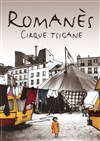 Cirque Romanès dans Lignes de la main jusqu'au coude ! - Cirque Tzigane Romanès