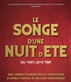 Le Songe d'une nuit d'été ou Very Love Trip - Fort de Feyzin