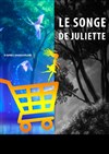 Le songe de Juliette - Théo Théâtre - Salle Théo