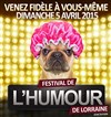 Festival de l'humour de lorraine 2015 - Espace Chaudeau