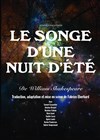 Songe d'une nuit d'été - Théâtre de Nesle - grande salle 