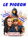 Le pigeon - La Boite à Rire