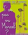 T'as pas vu Marcel ? - Comédie des 3 Bornes