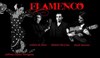 Flamenco à la péniche Anako - La Péniche Anako