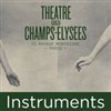 Ensemble Gli Incogniti - Théâtre des Champs Elysées