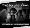 Dans les yeux d'Axel - Théâtre de Nesle - grande salle 