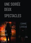 Entre chiens et loups / Comme l'oiseau : deux spectacles pour le prix d'un - Lavoir Moderne Parisien