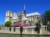 Visite guidée : L'île de la Cité. Le berceau de Paris. De la Place Dauphine à la maison d'Eloïse et Abélard - Pont Neuf