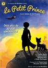 Le Petit Prince - Salle Irène Kenin