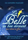 La Belle au bois dormant que veillent les fées - Théâtre Les Feux de la Rampe - Salle 300