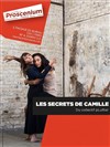 Les Secrets de Camille - Théâtre le Proscenium