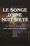 Le songe d'une nuit d'été - Théâtre de Nesle - grande salle 