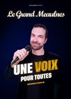 Le Grand Meaulnes dans Une voix pour toutes - Théâtre Le Lieu