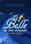 La Belle au bois dormant que veillent les fées... - Le Théâtre