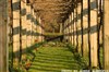 Cours d'image et création photo au jardin de Bercy - Bercy