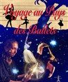 Voyage au pays des ballets - Théâtre de la Plaine