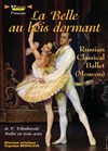 La belle au bois dormant - Théâtre Armande Béjart