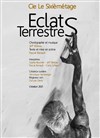 Éclats Terrestres - Espace Magnan