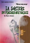 La sorcière du placard aux balais - Théâtre Bellecour