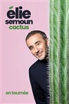 Elie Semoun dans Cactus - Radiant-Bellevue