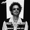 Eagle-eye Cherry - Le Plan - Grande salle