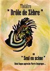 Rémi Guyon dans Drôle de Zèbre - Théâtre de Nesle - petite salle