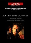 La descente d'Orphée - Acting International