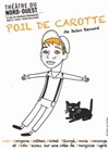 Poil de carotte - Théâtre du Nord Ouest