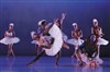 Swan Lake - Théâtre 95