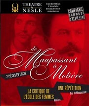 De Maupassant à Molière Thtre de Nesle - grande salle Affiche