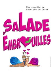 Salade d'embrouilles Comdie de la Roseraie Affiche