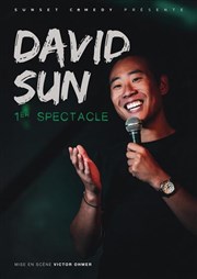 David Sun Le Pont de Singe Affiche