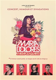 Maria Dolores y Amapola Quartet Le Karavan thtre Affiche