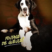 Thierry Marquet dans On se foutrait pas un peu de notre gueule ? Luna Negra Affiche