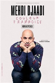 Mehdi Djaadi dans Couleur Framboise Spotlight Affiche