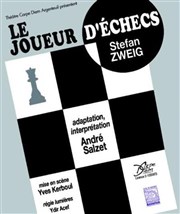 Le joueur d'échecs Thtre du Pont Tournant Affiche