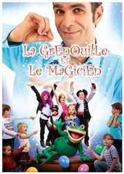 La Grenouille et le Magicien Thtre Musical Marsoulan Affiche