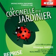 La coccinelle et le jardinier La Comdie Saint Michel - grande salle Affiche