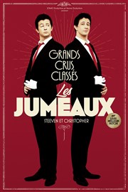 Les Jumeaux dans Grands Crus Classés Thtre de la Clart Affiche