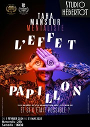 Taha Mansour dans L'Effet Papillon Studio Hebertot Affiche