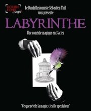 Sébastien Thill dans Labyrinthe Le Double Fond Affiche