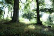 La forêt enchantée Caf Thtre le Flibustier Affiche