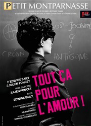 Tout ça pour l'amour | par Edwige Baily Thtre du Petit Montparnasse Affiche