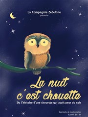 La nuit c'est chouette Akton Thtre Affiche